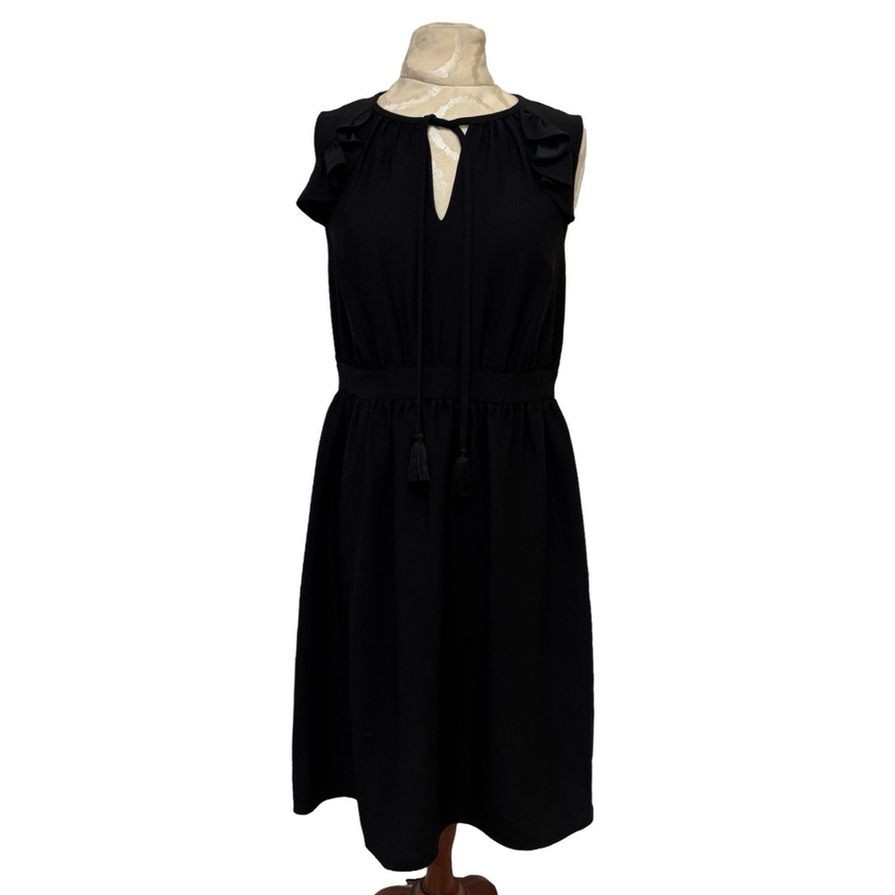 Kate Spade Rambling Rose Crepe Ruffle Fit & Flare Black Dress Medium NWT Cottage - Picture 4 of 14